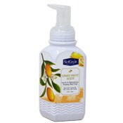Wholesale - 8.75oz Lemon Fruit Foaming Hand Soap C/P 24, UPC: 850025645423